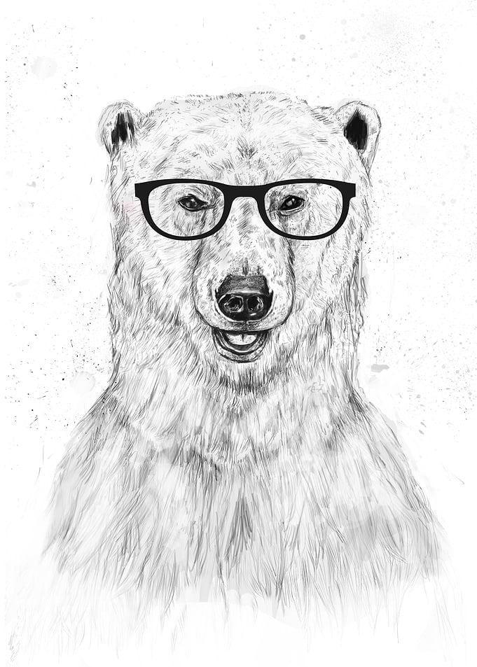 Geek bear