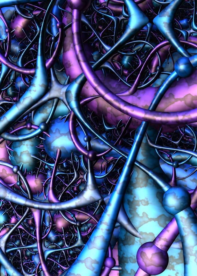 Neurons