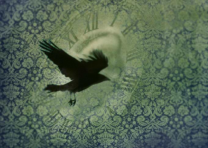 Time's Dark Flight