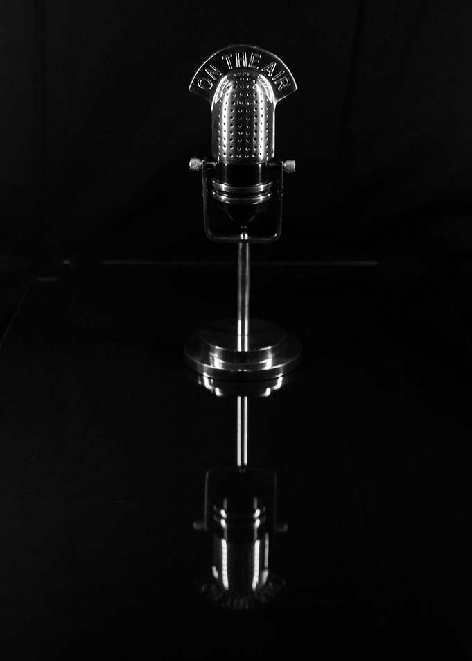 Microphone - Sliver
