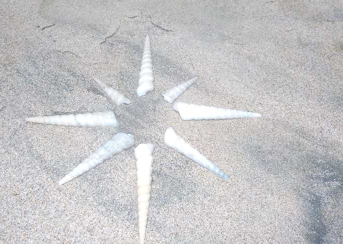 Beach Sun