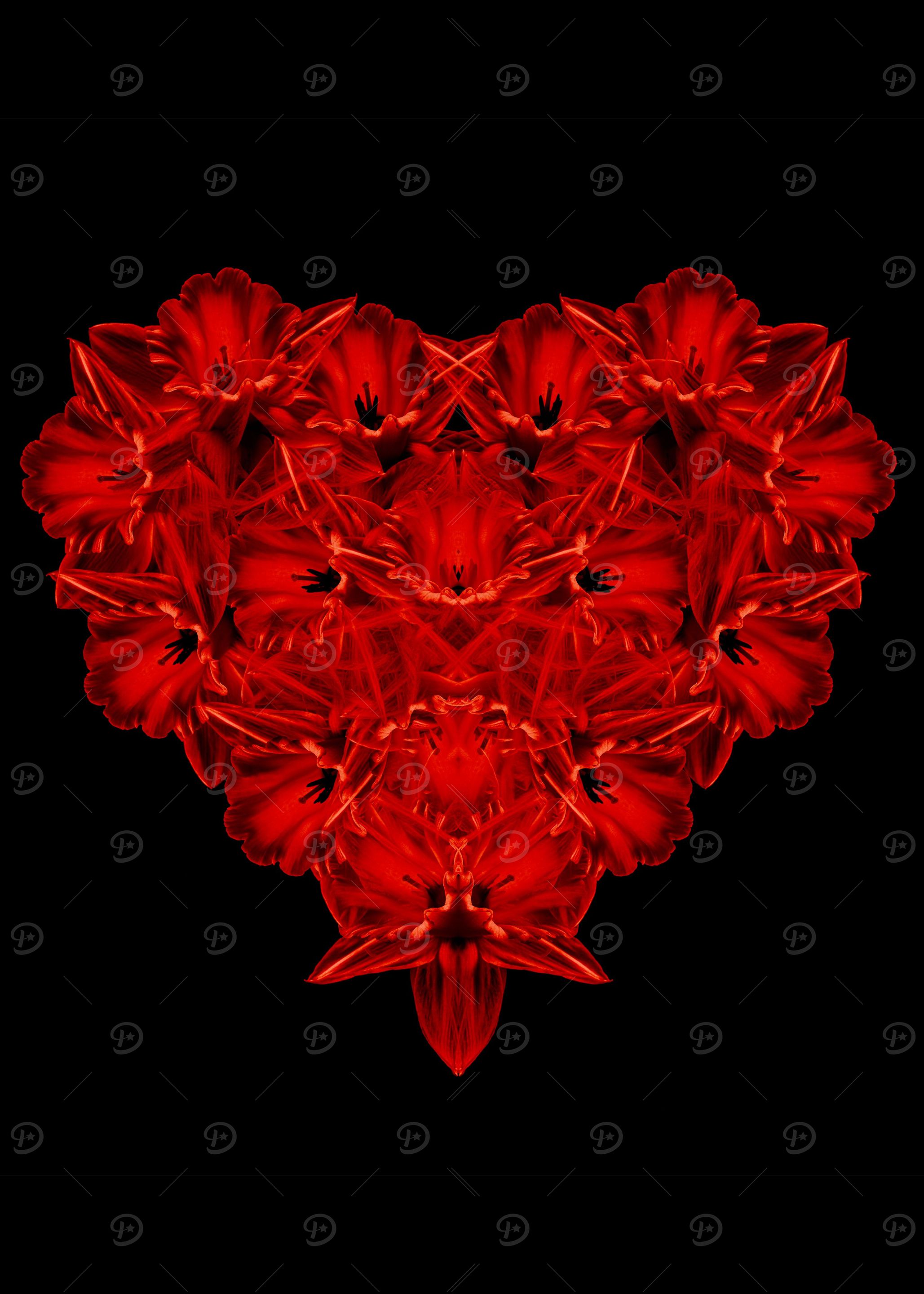 Love - red flowers in the shape of a heart by Edward M. ...