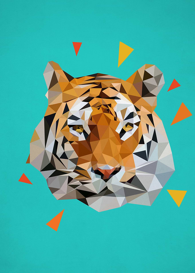 tiger