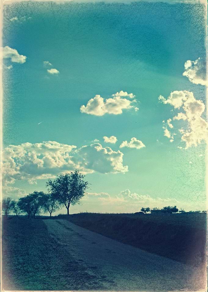 Daydream