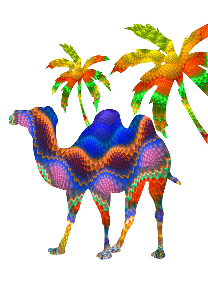 camel