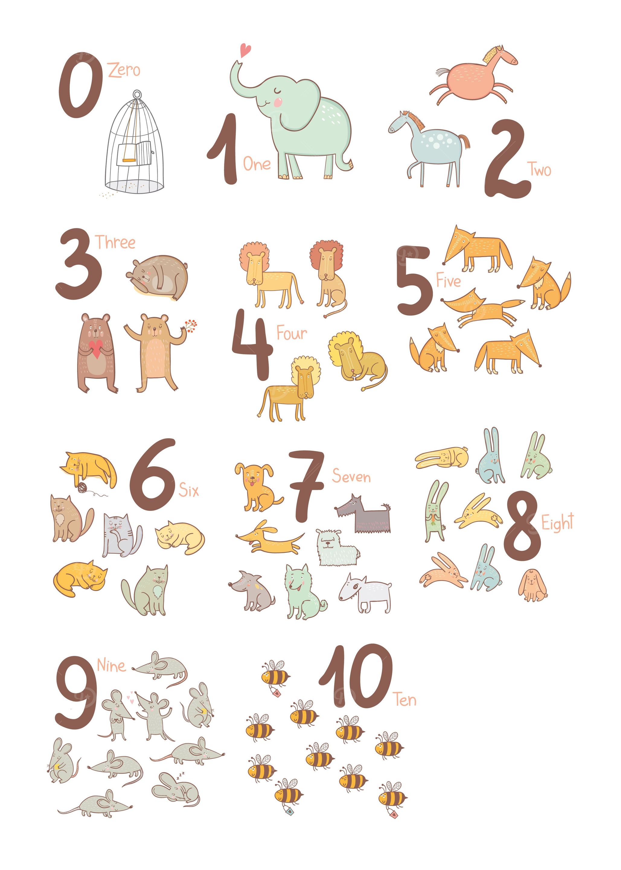 Zoo 123