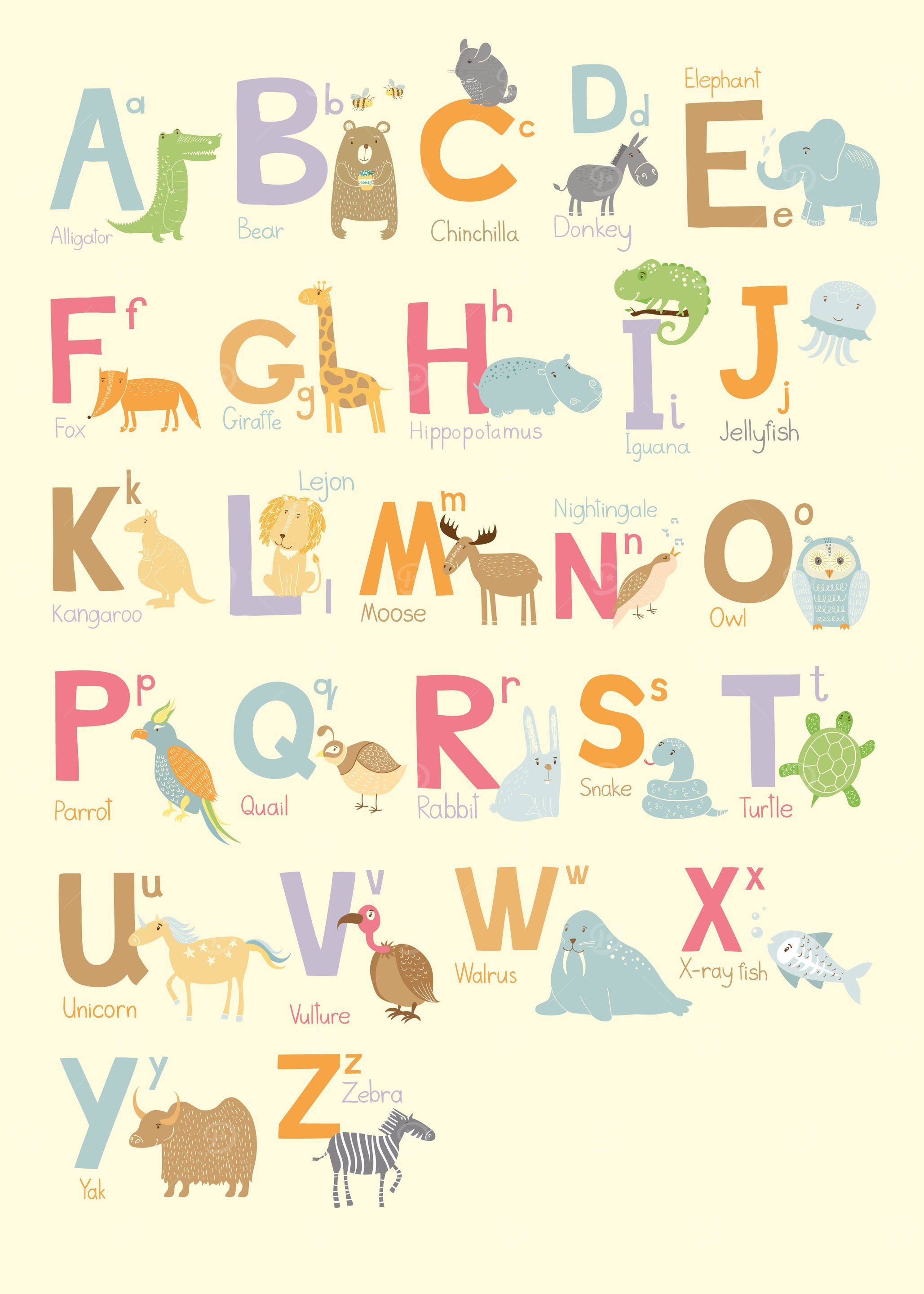 Zoo ABC
