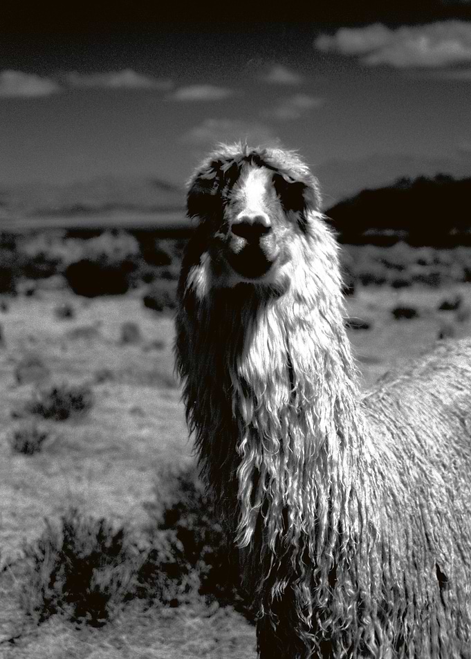 PERU JOURNEY NO2