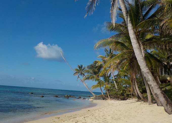 Caribbean Dream