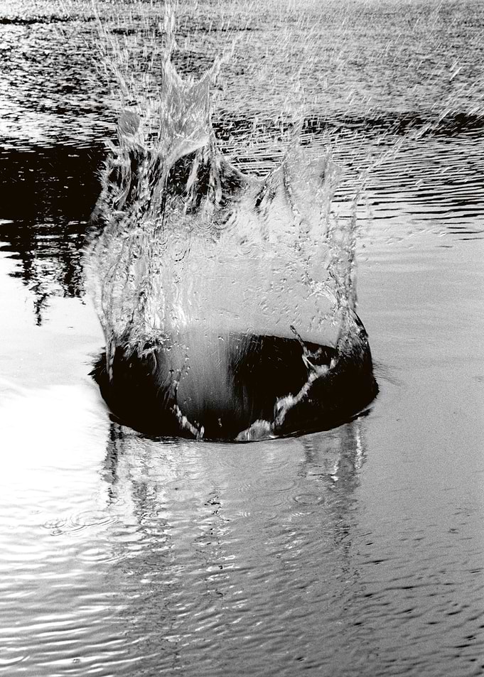 BLACK SPLASH