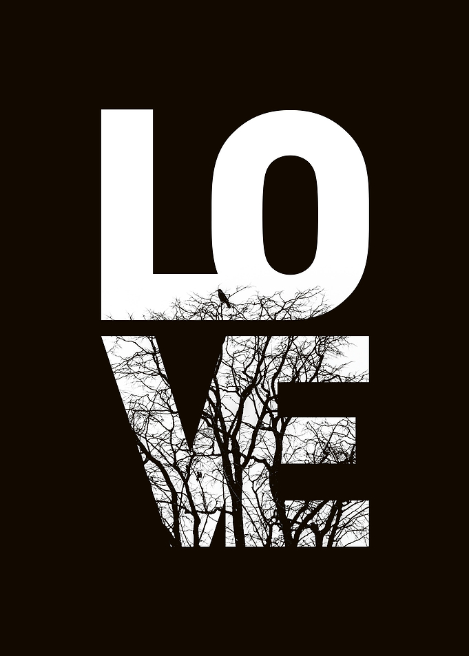 LOVE NO2