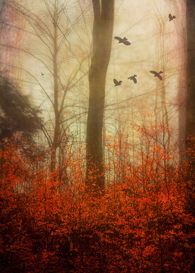 Last leaves on some small trees in a hazy forest