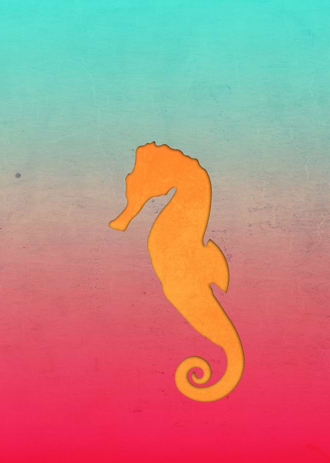 Seahorse silhouette