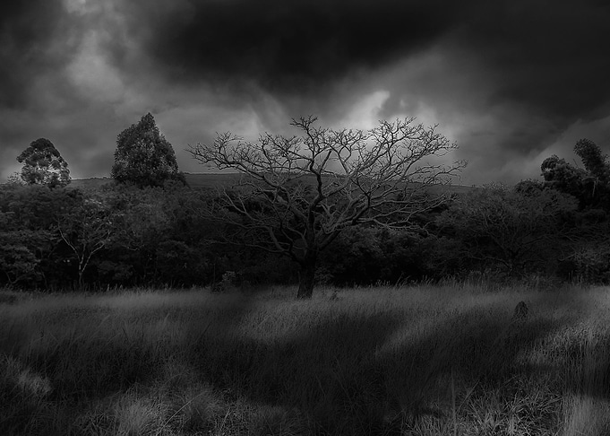 Valley of the shadow