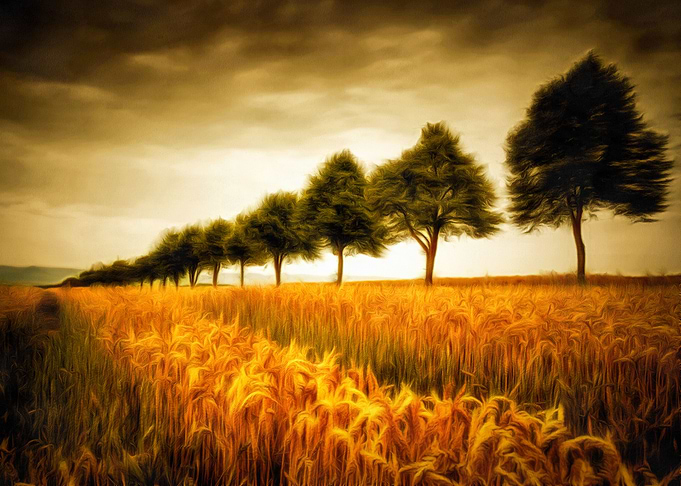 Row of trees and a golden corn field in summer, digital ...
