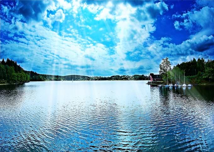 Lake in summer