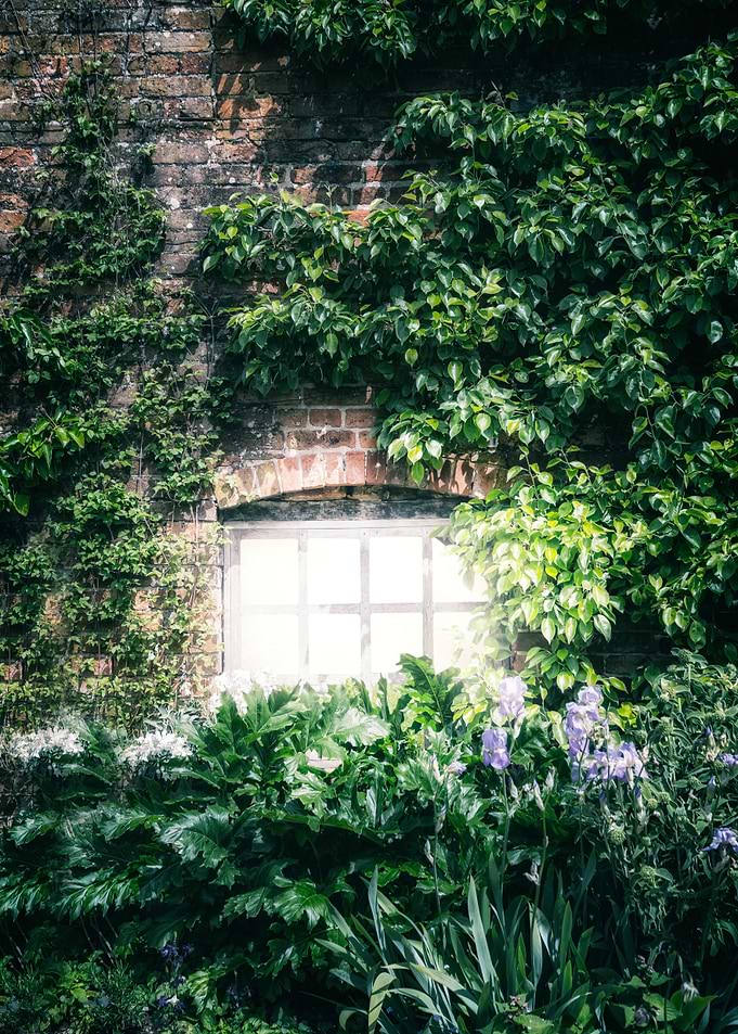 mysterious window