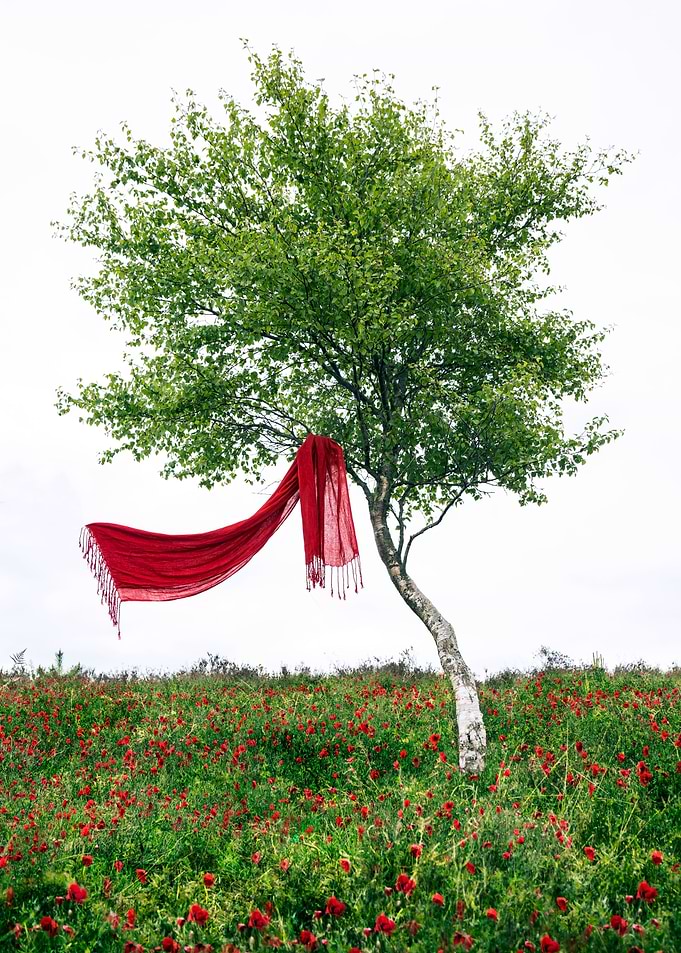 blowing in the wind