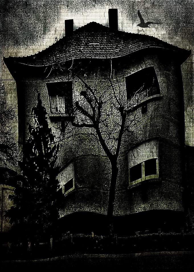 A Twisted House