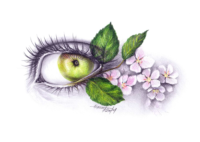 Apple of my eye