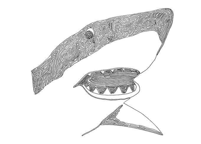Shark drawn with one line. The line begins at the left ...