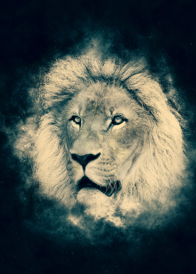 This was created in Photoshop Cs6. This is also a t-shi ...