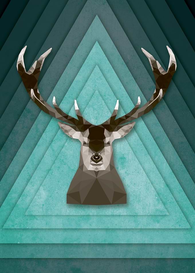 Stag Exploration - Part of an on going project explorin ...