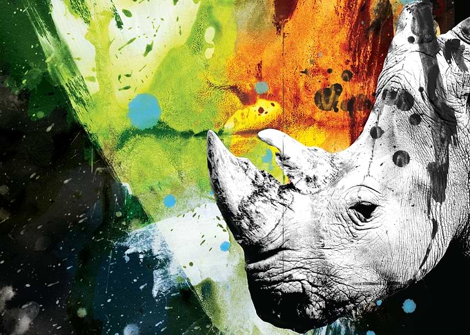Uncharted Rhino