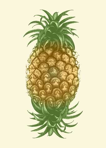 Genetically Engineered Pineapple