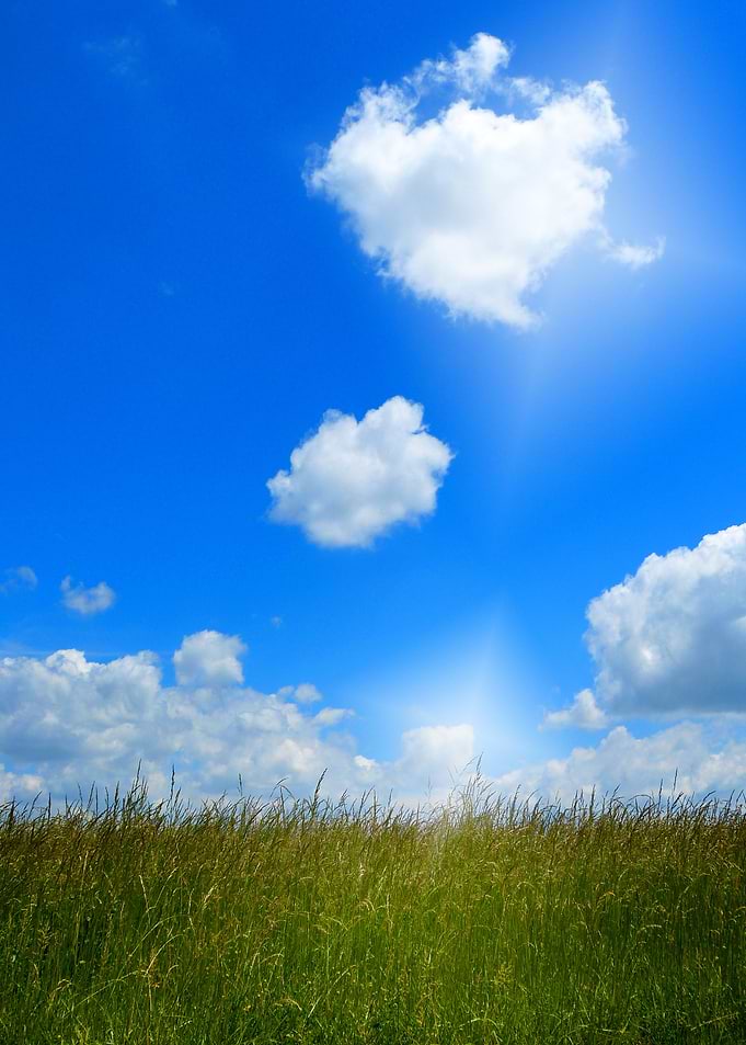 Sunny Sky