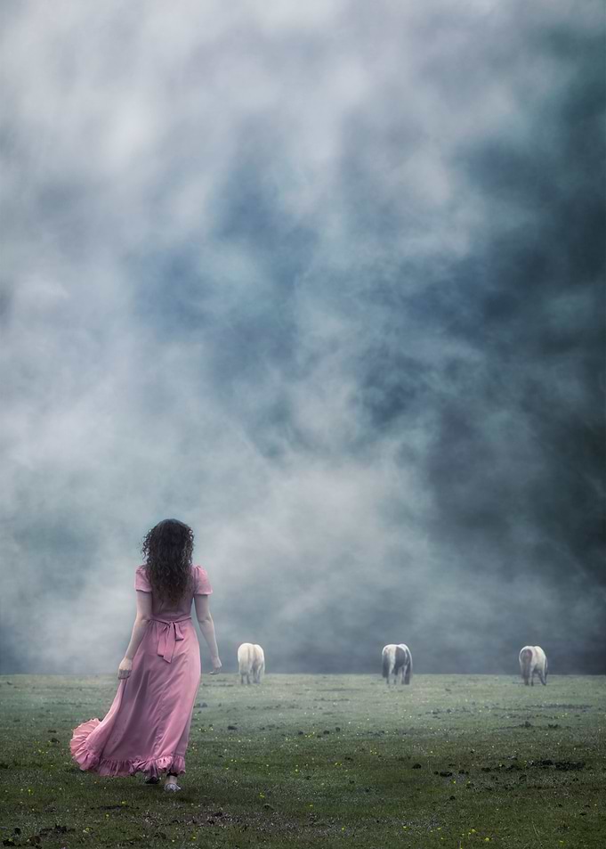 searching for the unicorn