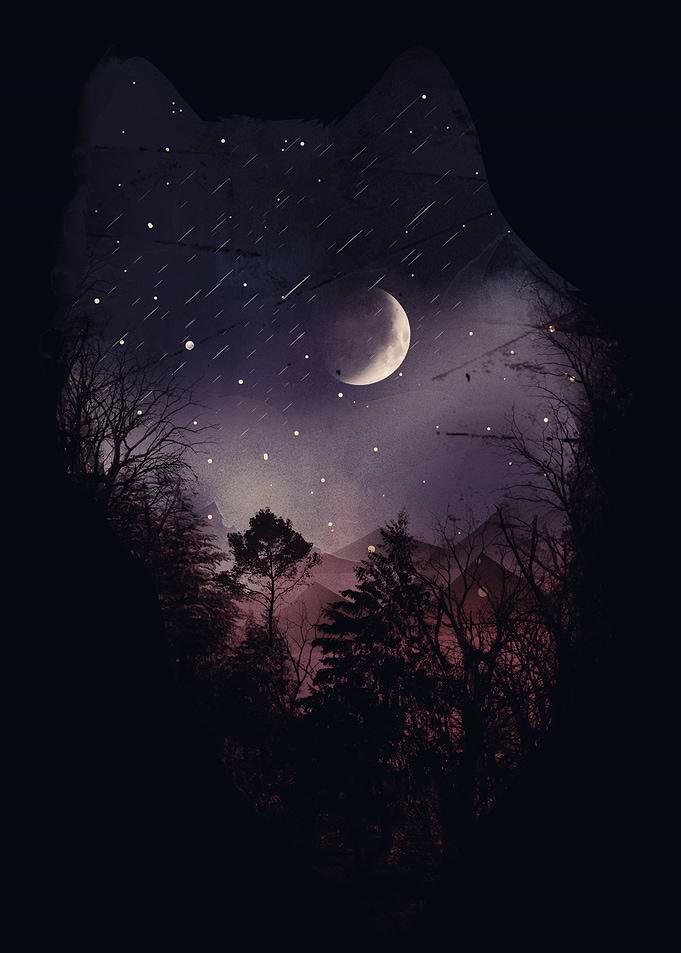 Night of the Wolf