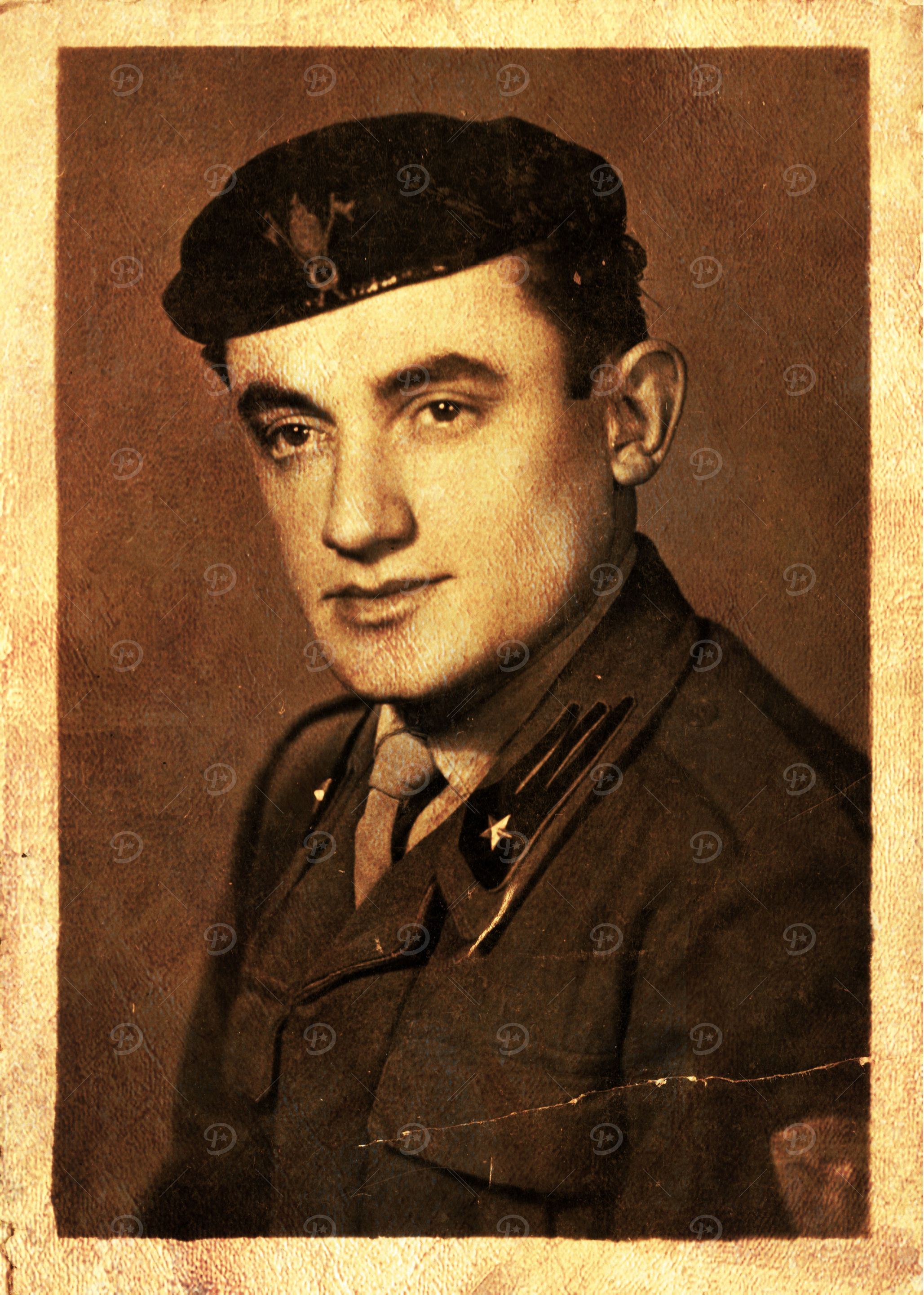 the Soldier