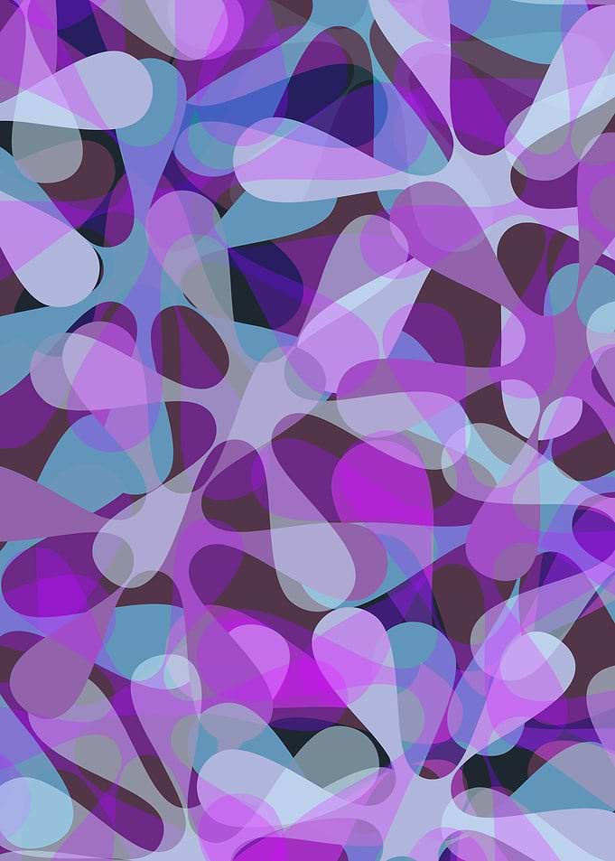 Allium Lavender