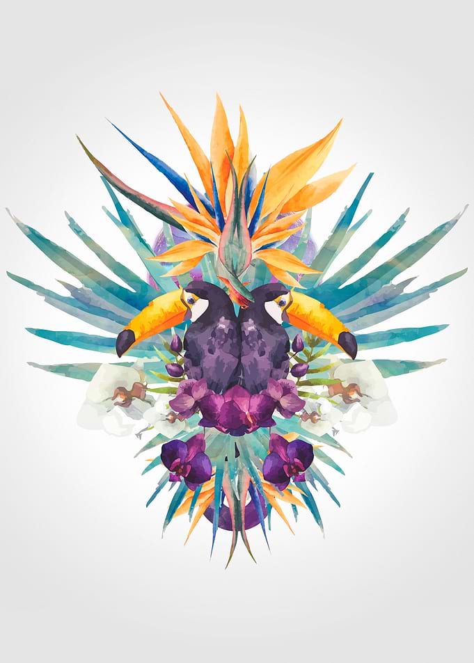Tropical Tucan