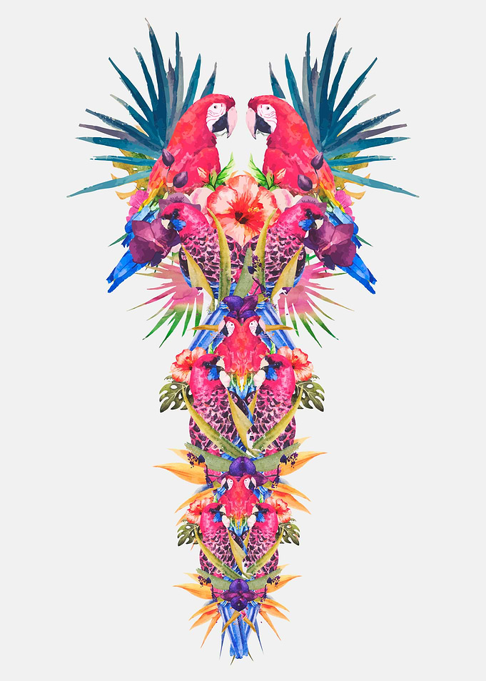 Parrot Kingdom