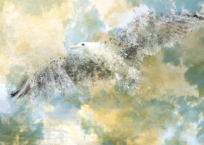 Digital-Art Seagull