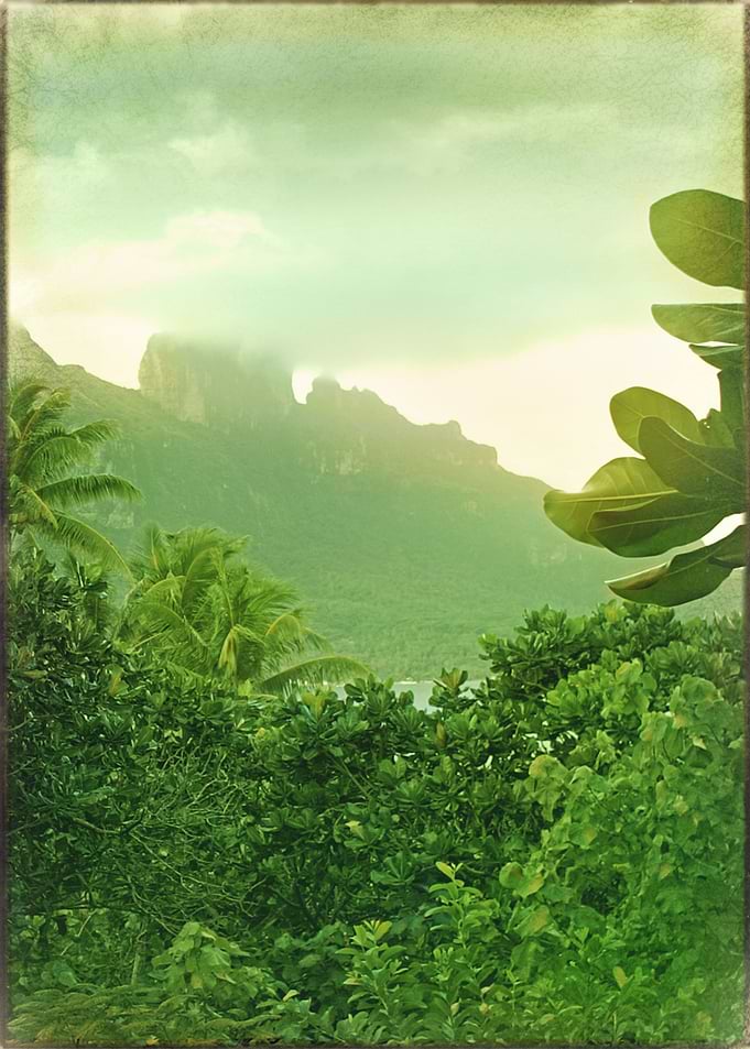 Green Afternoon