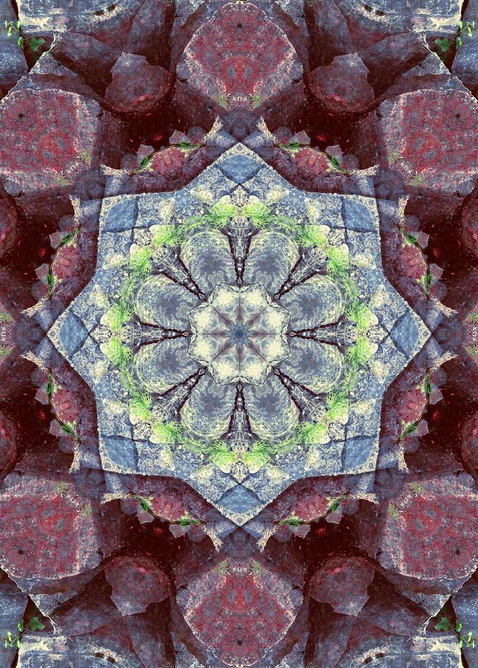 mystic flower