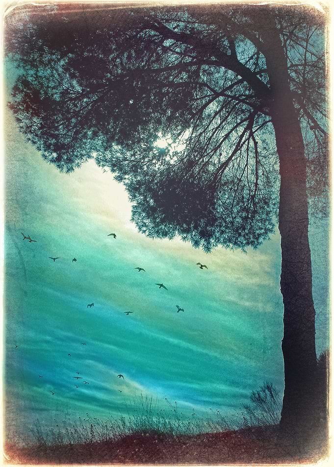 Turquoise Afternoon on the Cliff