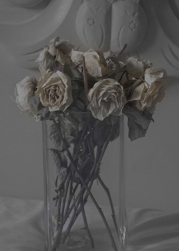 YELLOW ROSES DRYING IN VASE