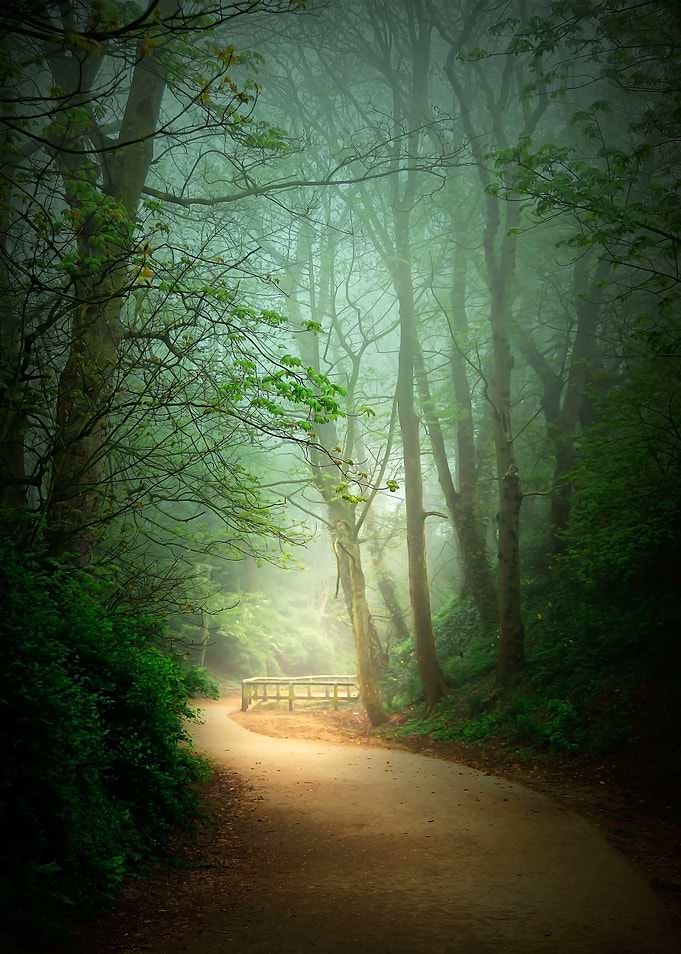 Hazy Morning