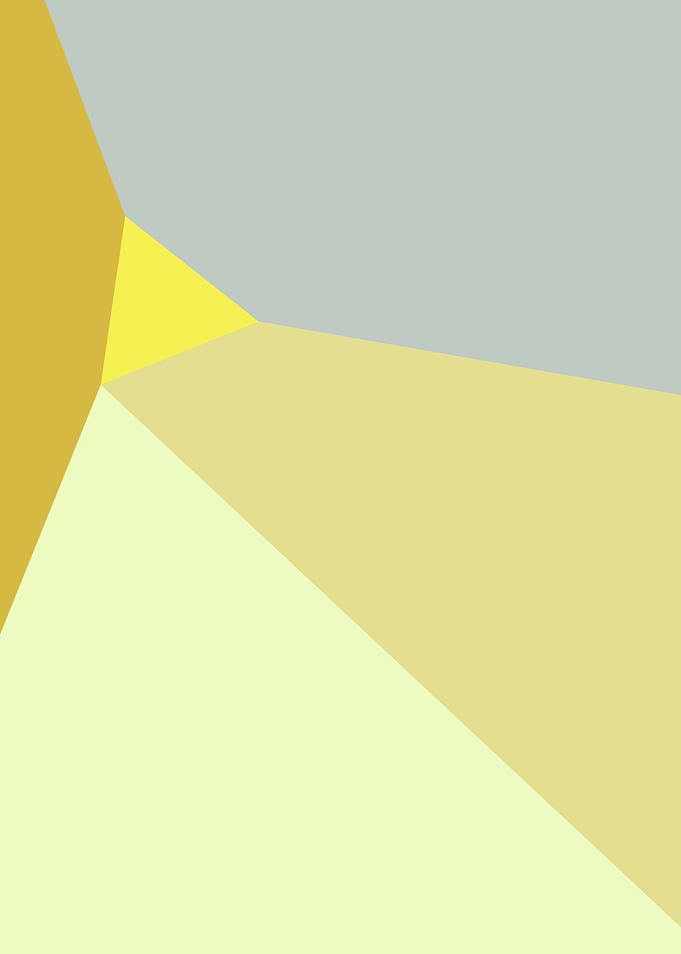 Poligonal 02