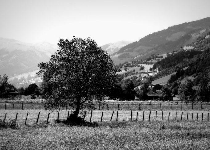 Forgotten ©2011 Anita Kovacevic