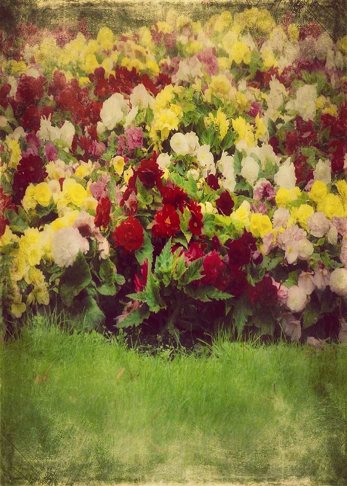 Vintage Pretty Garden