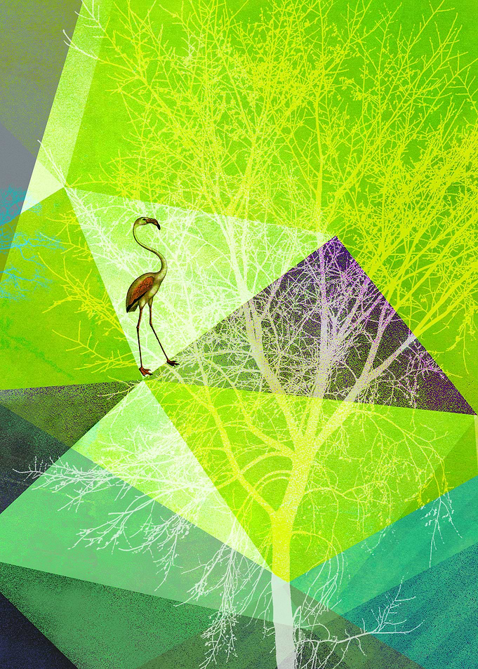 Title: FLAMINGO my concept work: Polygons and more.A f ...