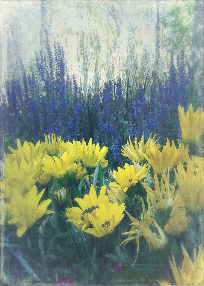 Summer Garden