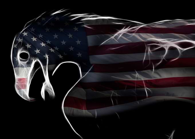 Digital Art American Eagle
