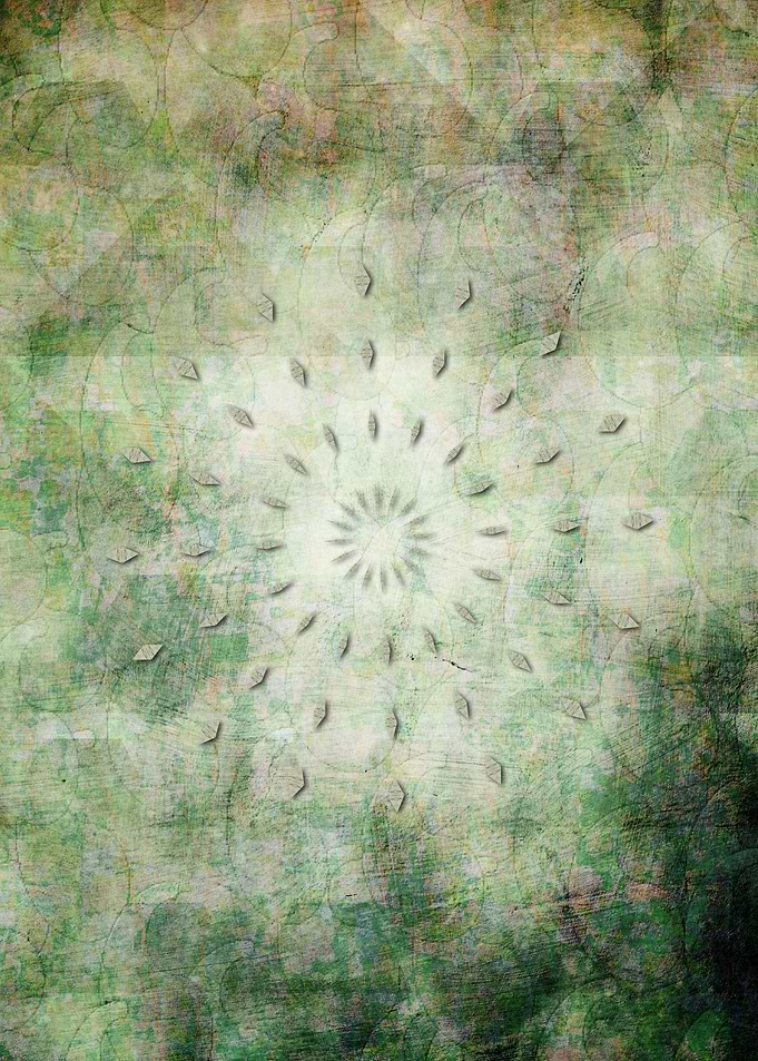 Shine Your Light