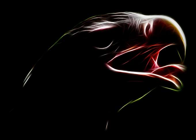 Digital Art Eagle